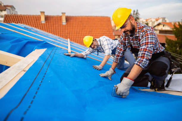 Best Metal Roofing Contractor  in North Tonawanda, NY