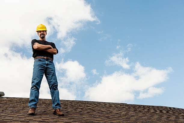 Roof Gutter Cleaning in North Tonawanda, NY